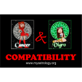 Friendship Compatibility for Cancer and Virgo using Astrology