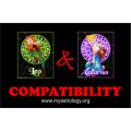 Friendship Compatibility for Leo and Aquarius using Astrology