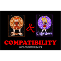 Friendship Compatibility for Taurus And Capricorn using Astrology