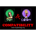 Friendship Compatibility for Virgo and Capricorn using Astrology
