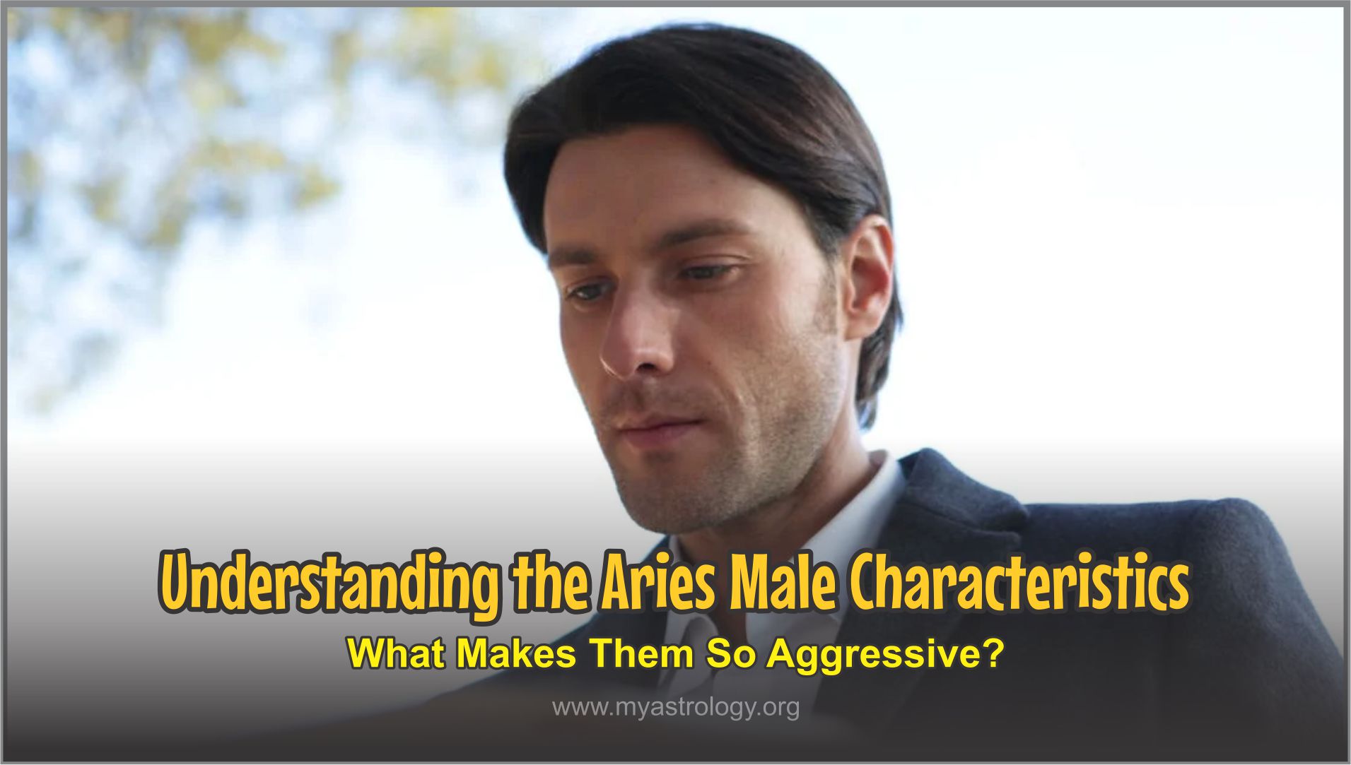 Understanding the Aries Male Characteristics: What Makes Them So ...